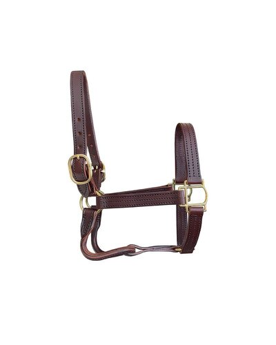 Horse Cents Leather Track Halter with English Chin
