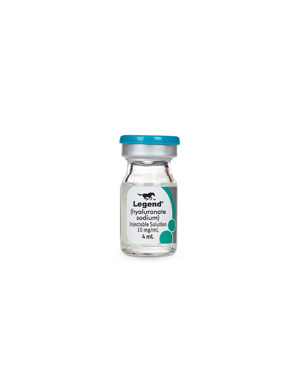 Legend (hyaluronate sodium) from Boehringer Ingelheim - sterile injectable solution for horses