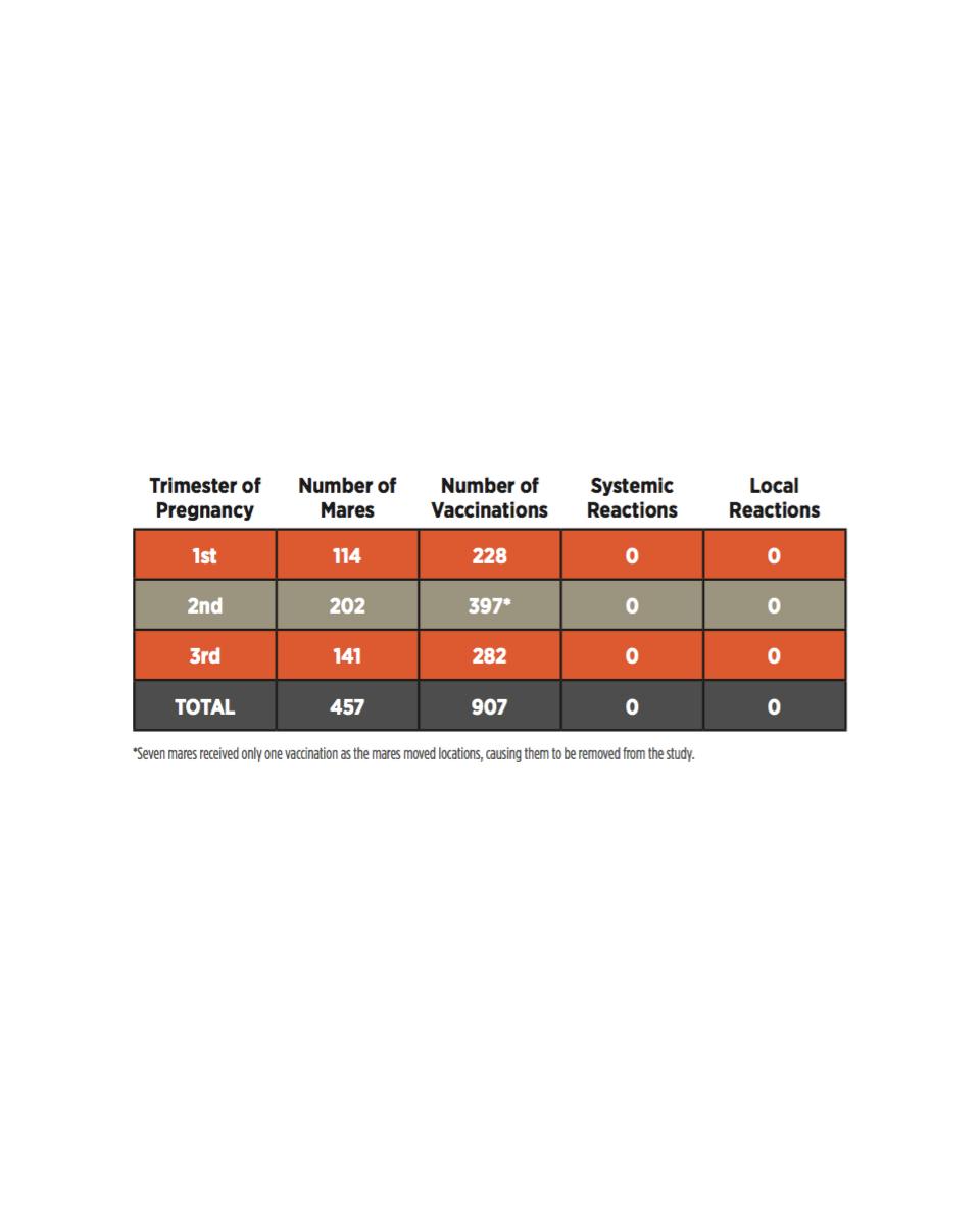 lepto eq innovator results