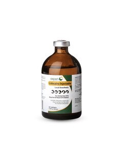 Lidocaine 2%