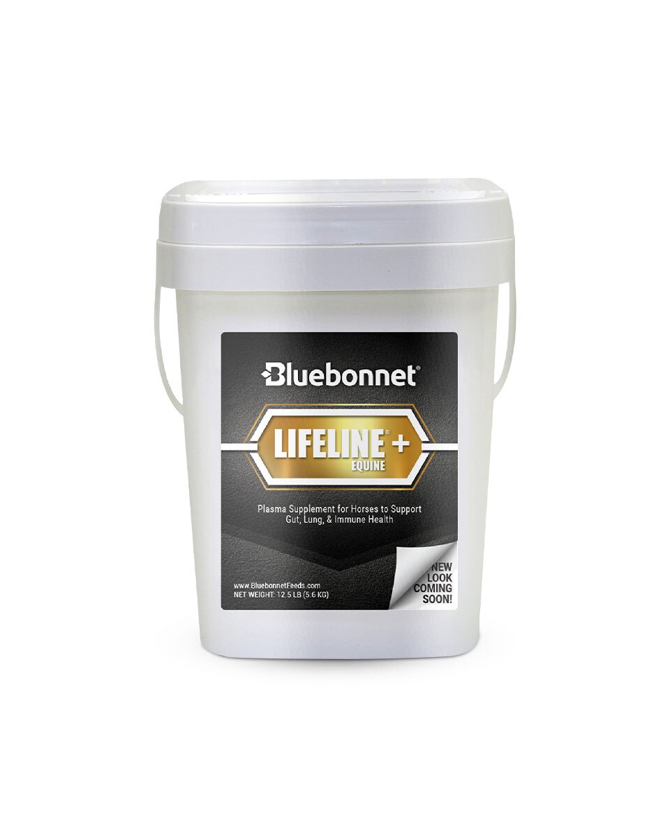Lifeline Supplement for horses