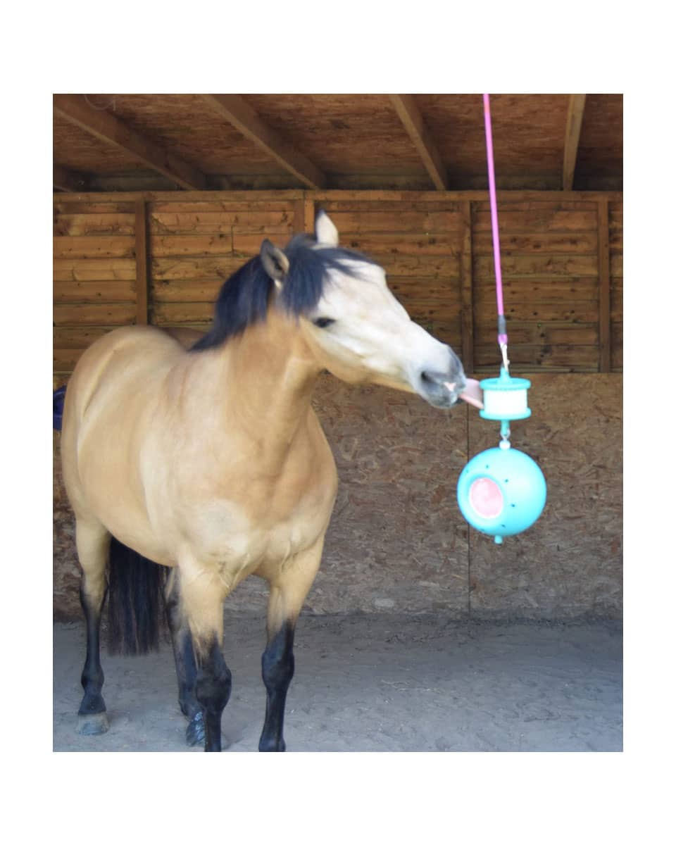 Boredom Breaker Likit FarmVet