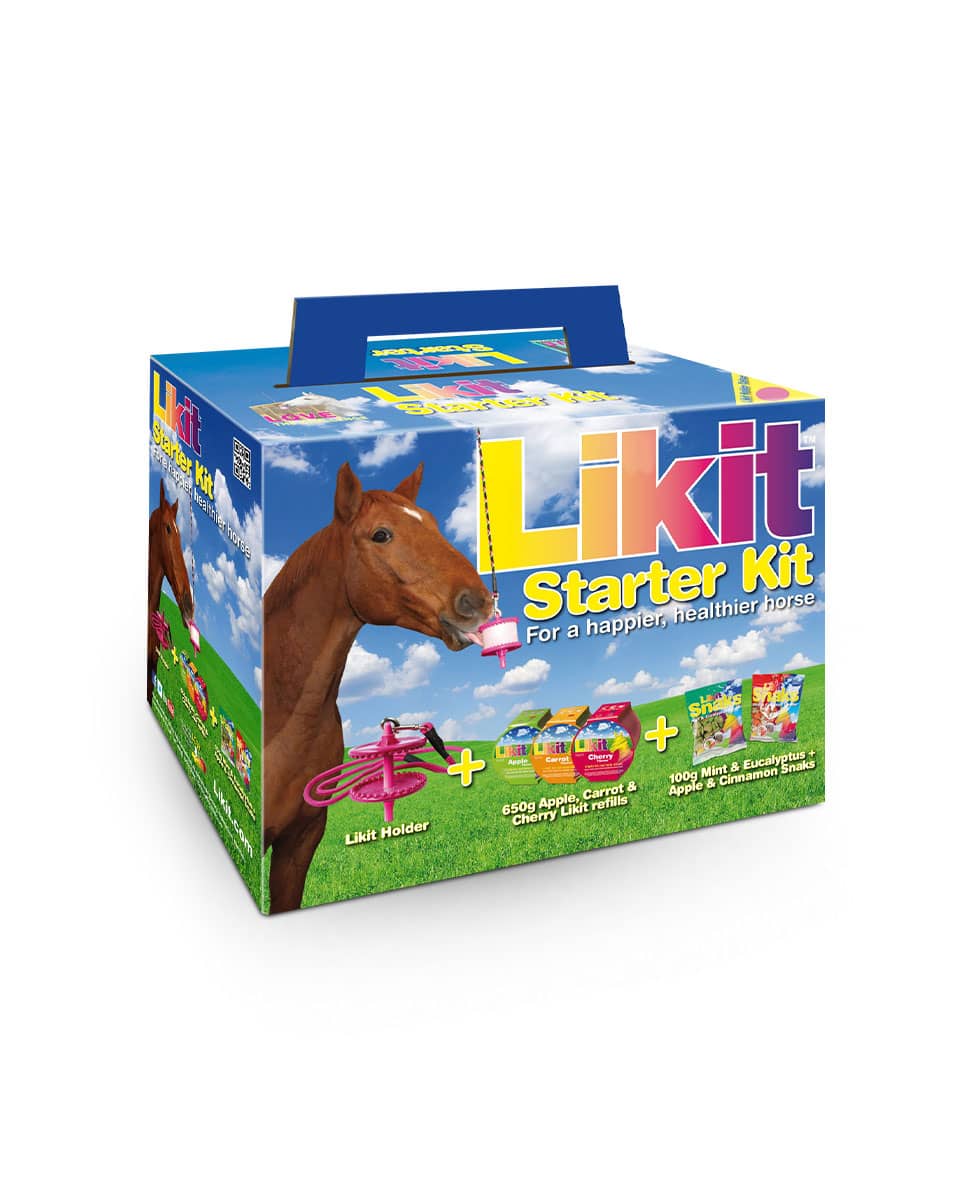 Likit Starter Kit horse toy