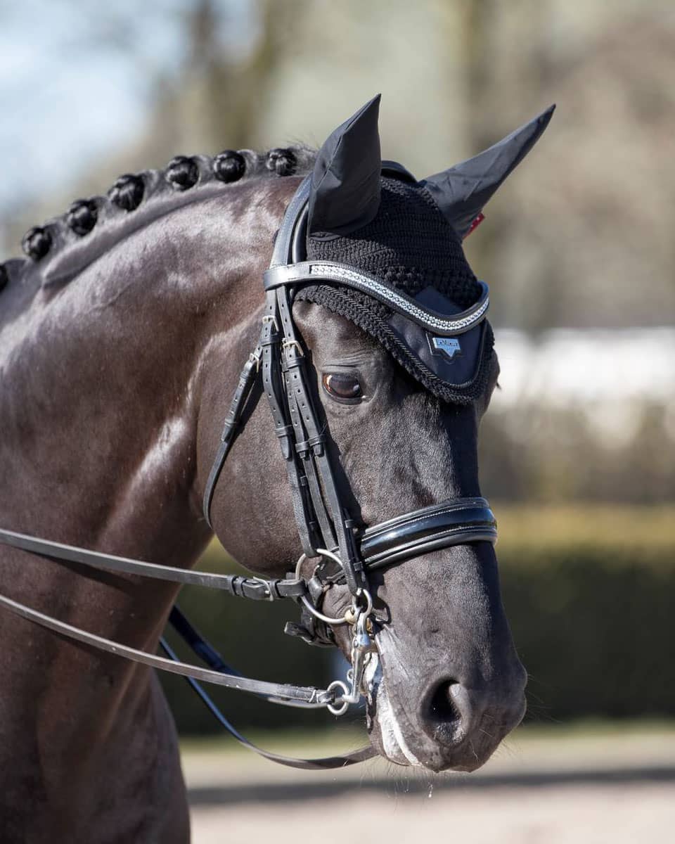 LeMieux Loire Ear Bonnet