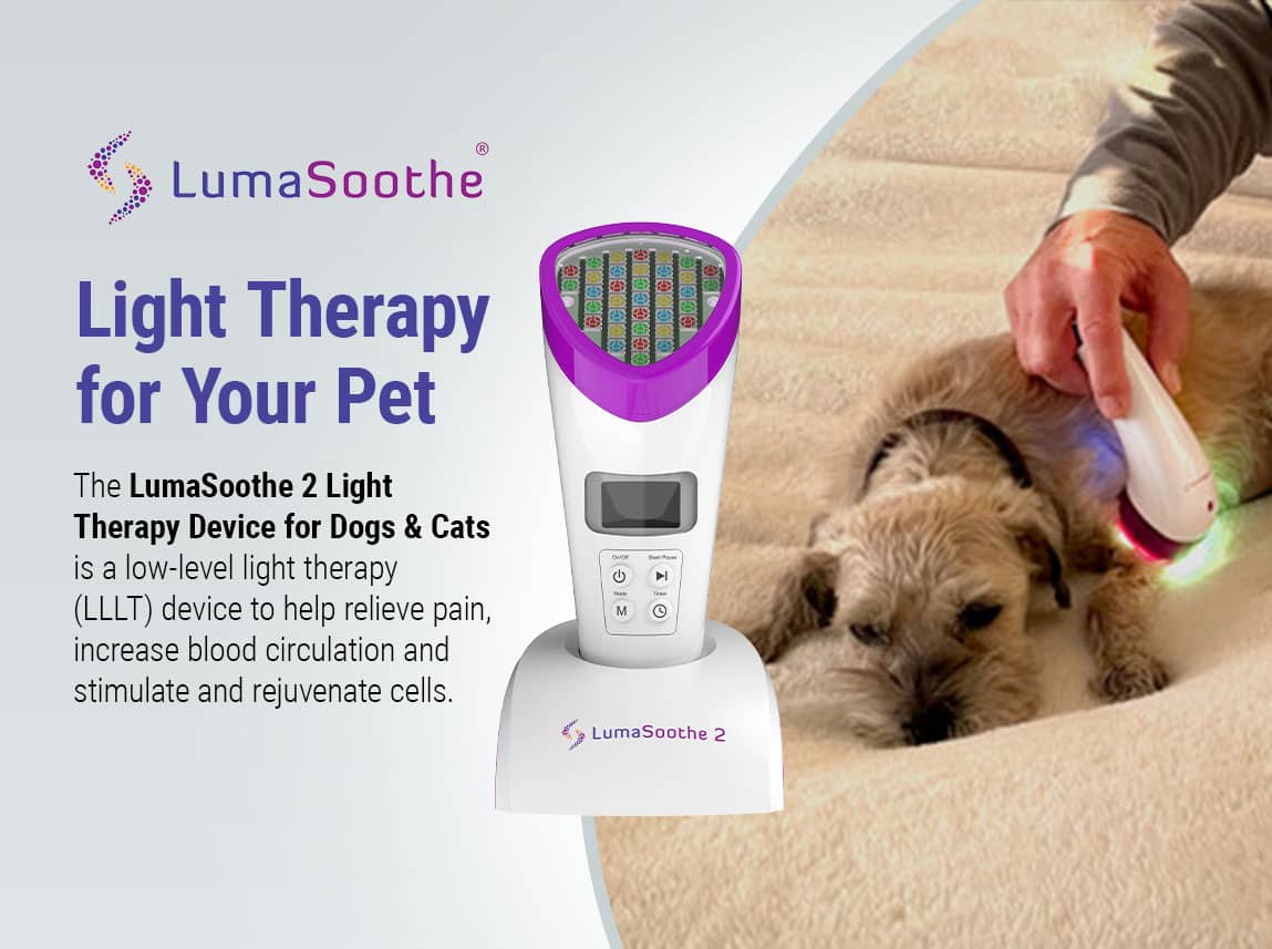 LumaSoothe red light therapy to soothe dog and cat joint paint.