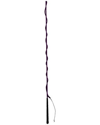 Lunge Whip