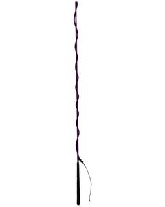 Lunge Whip