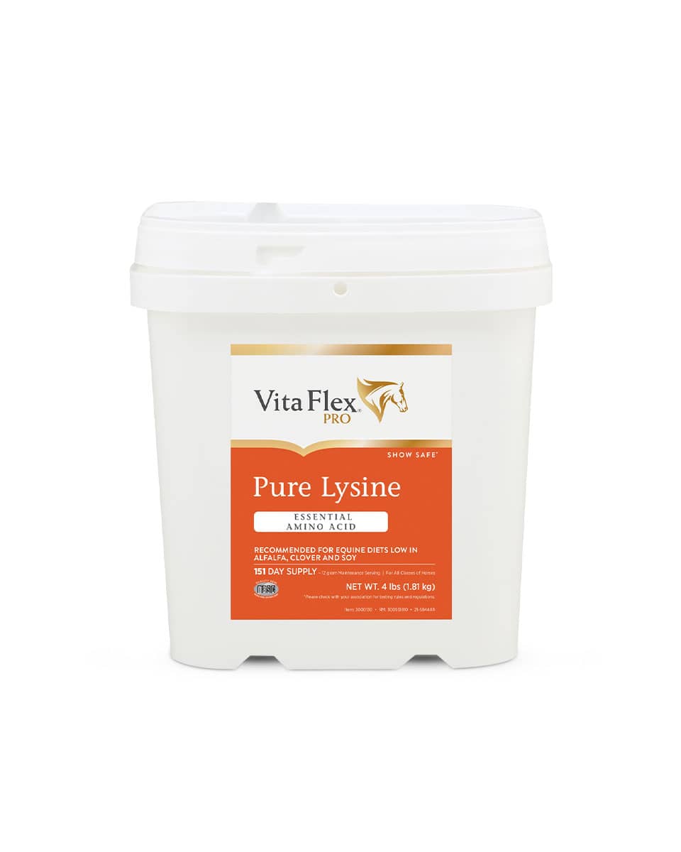 Lysine from Vita-Flex