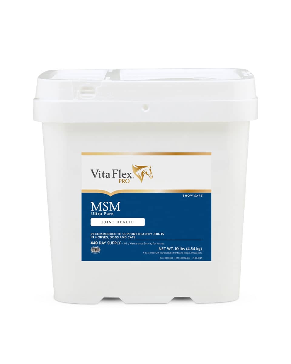 Vita-Flex MSM for horses - 10 lb