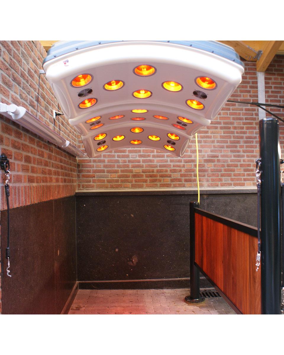 Q-Line MaXuSS Equine Solarium from VitaFloor