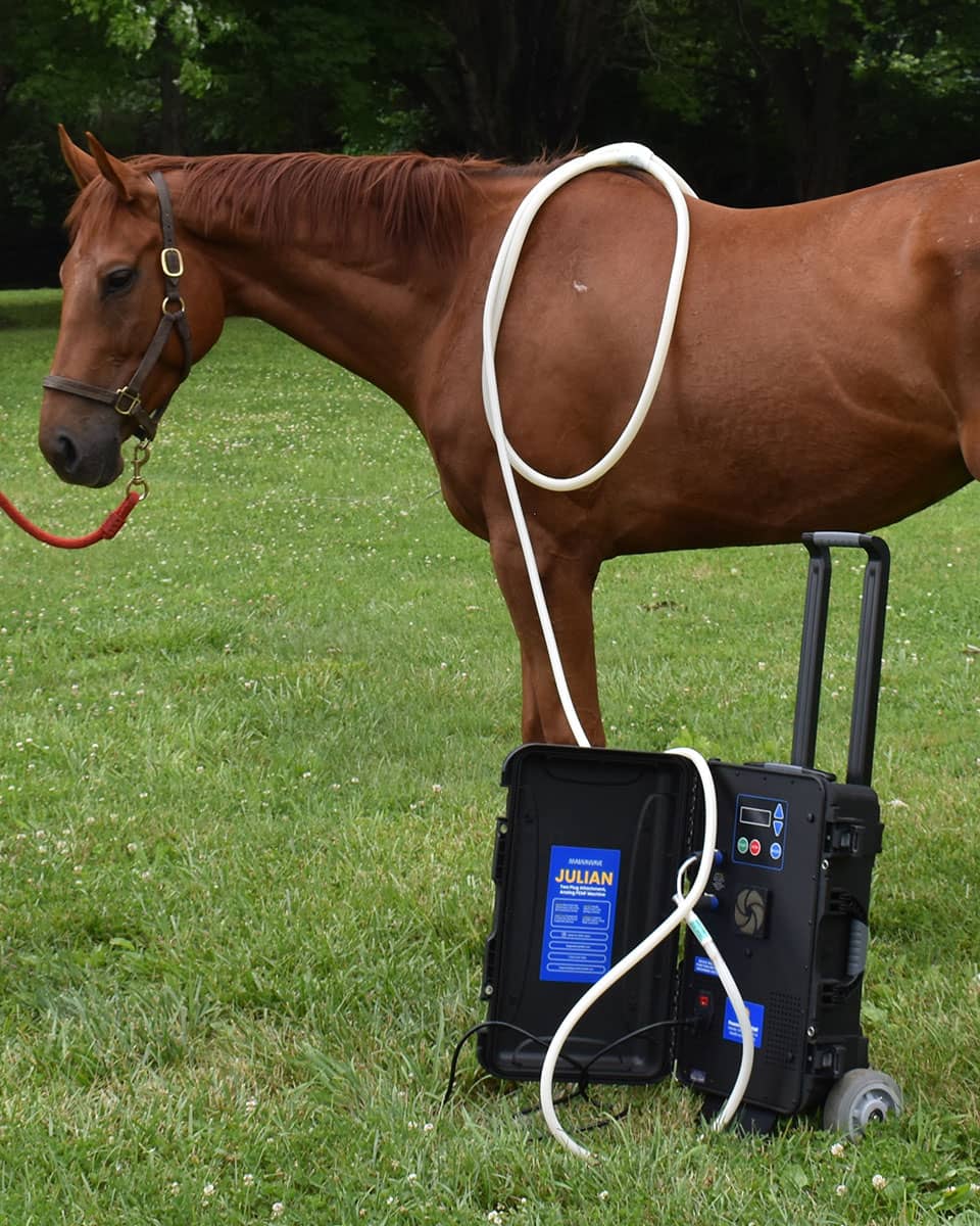 MagnaWave Julian - PEMF Therapy for horses