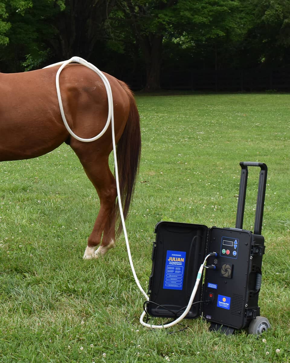 MagnaWave Julian - PEMF Therapy for horses