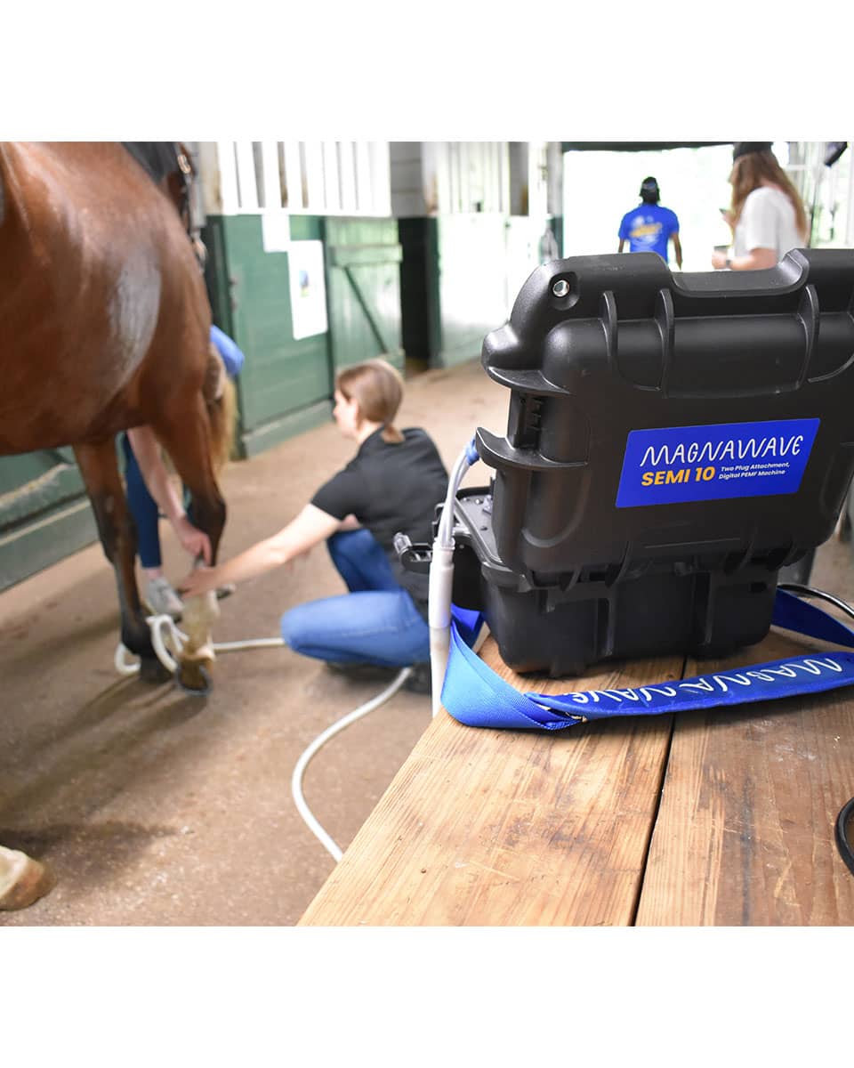 MagnaWave Semi 10 - PEMF Therapy for horses