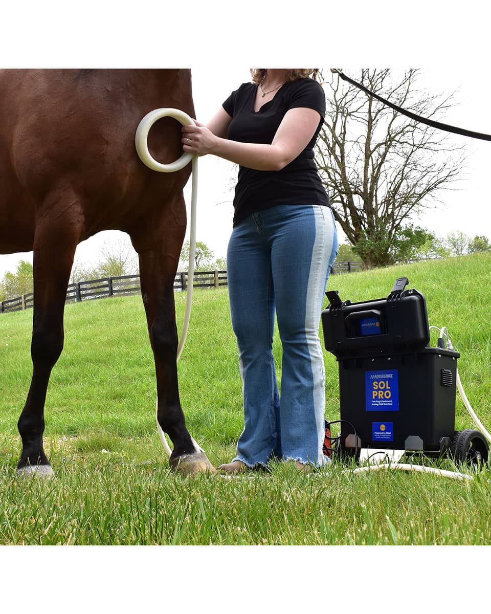 MagnaWave Sol Pro - PEMF Therapy for horses