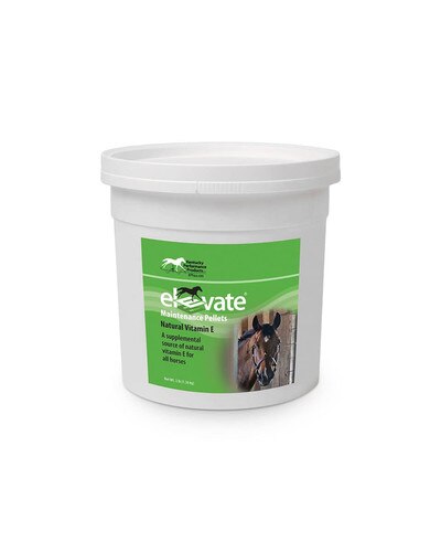 Elevate Maintenance Pellets Vitamin E supplement for horses from Kentucky Performance Products