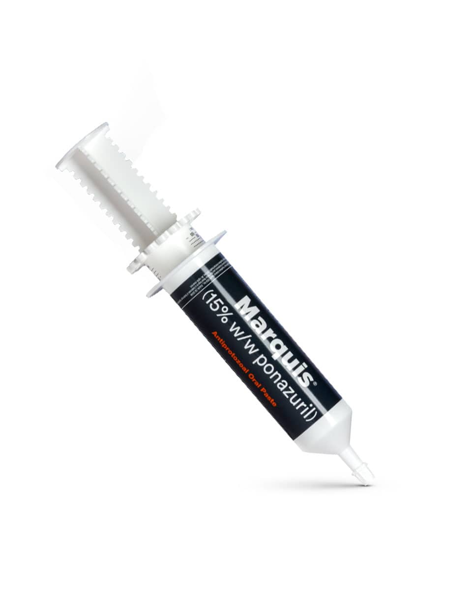 Marquis Paste