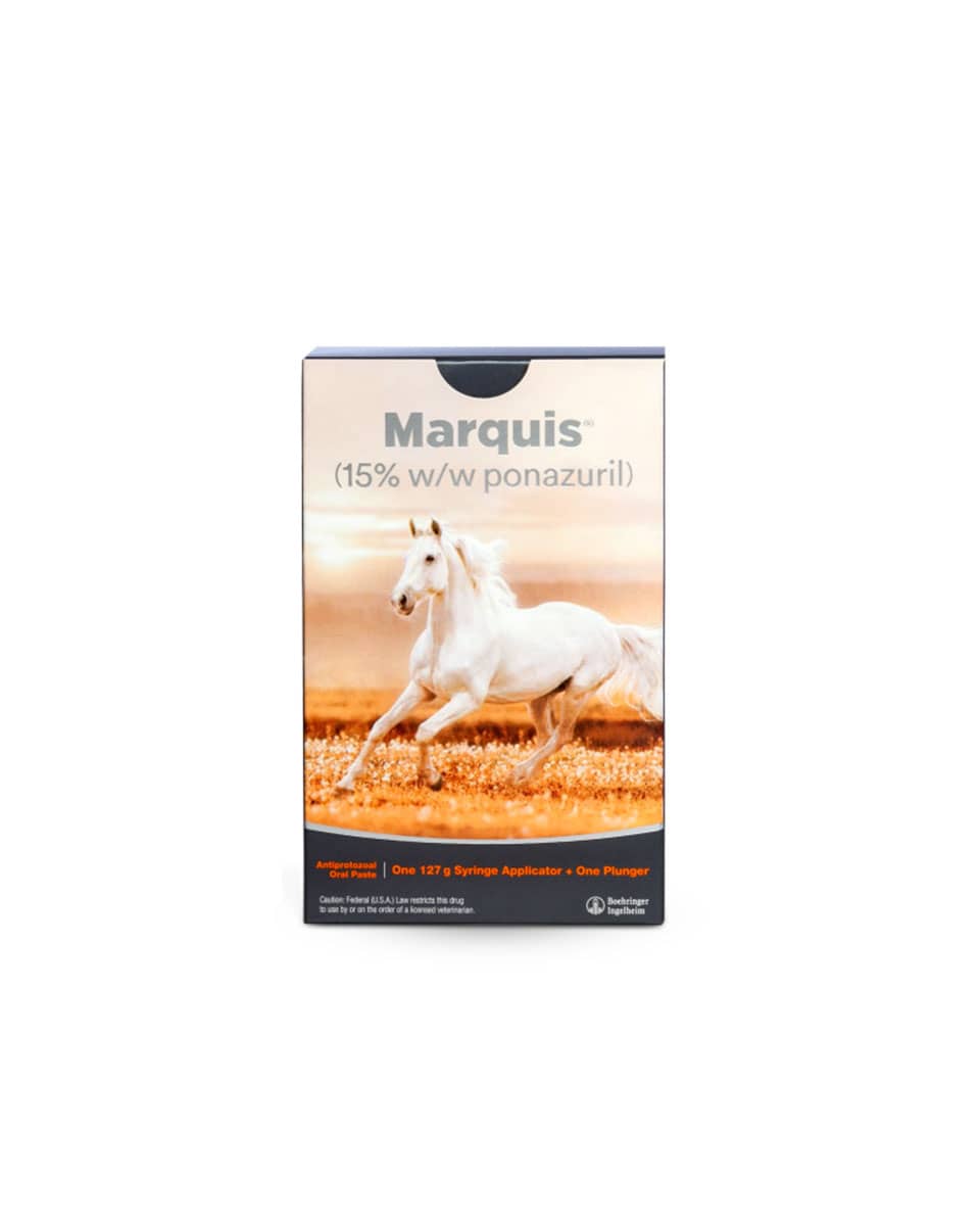 Marquis (ponazuril) Paste for EPM treatment from Boehringer Ingelheim - single dose