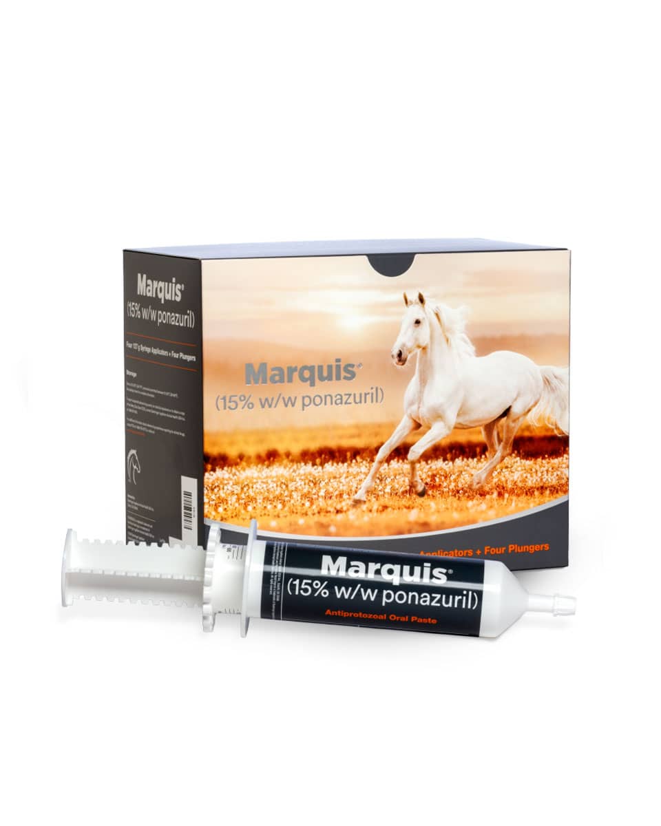 Marquis (ponazuril) Paste for EPM treatment from Boehringer Ingelheim - 4 pack