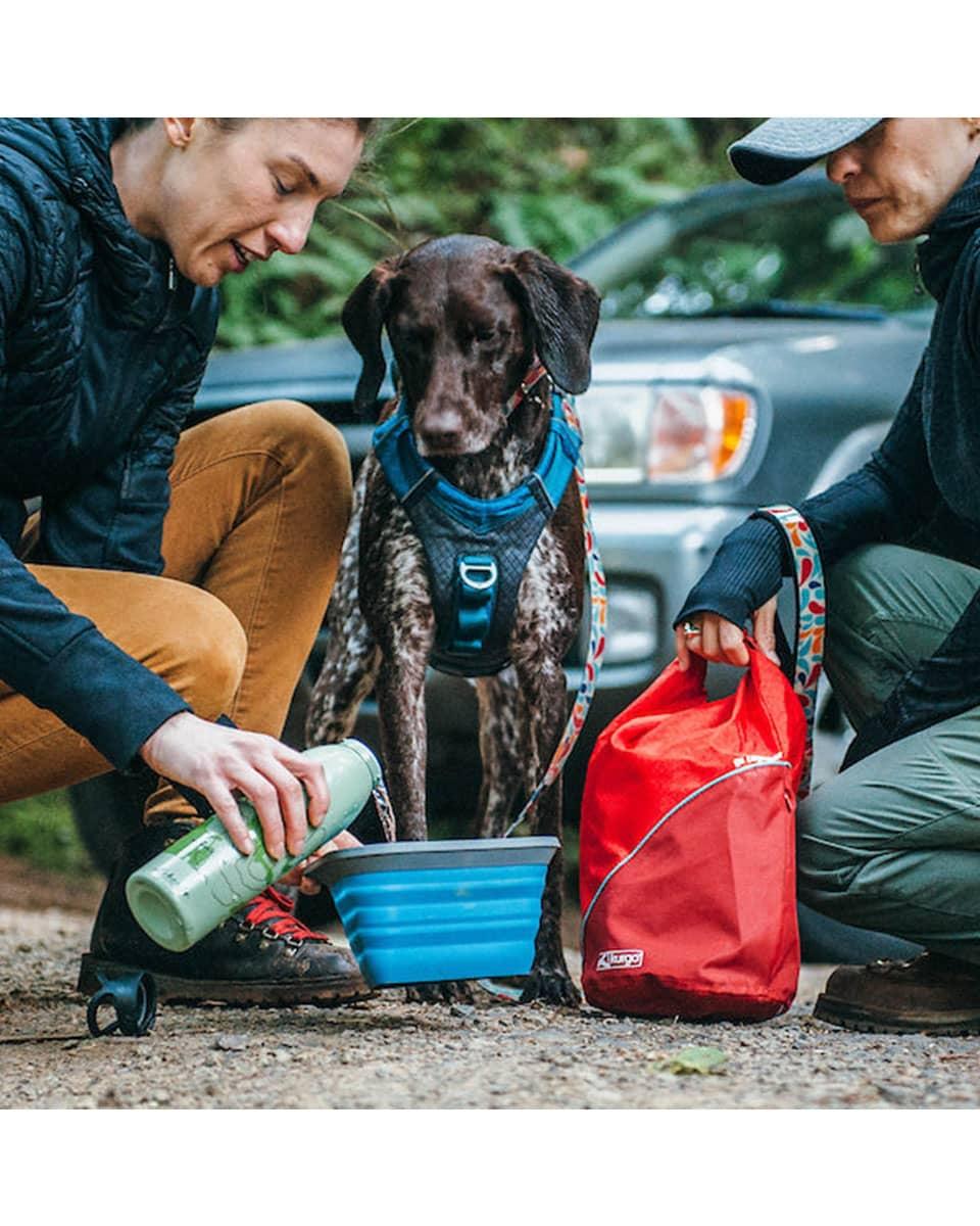 Kurgo Mash N' Stash Collapsible Pet Bowl