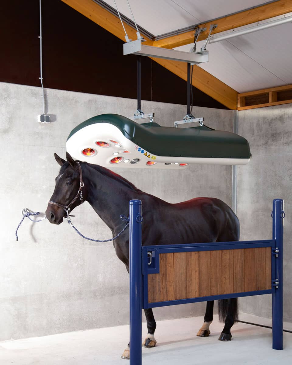 Q-Line MeRcuRR Equine Solarium from VitaFloor