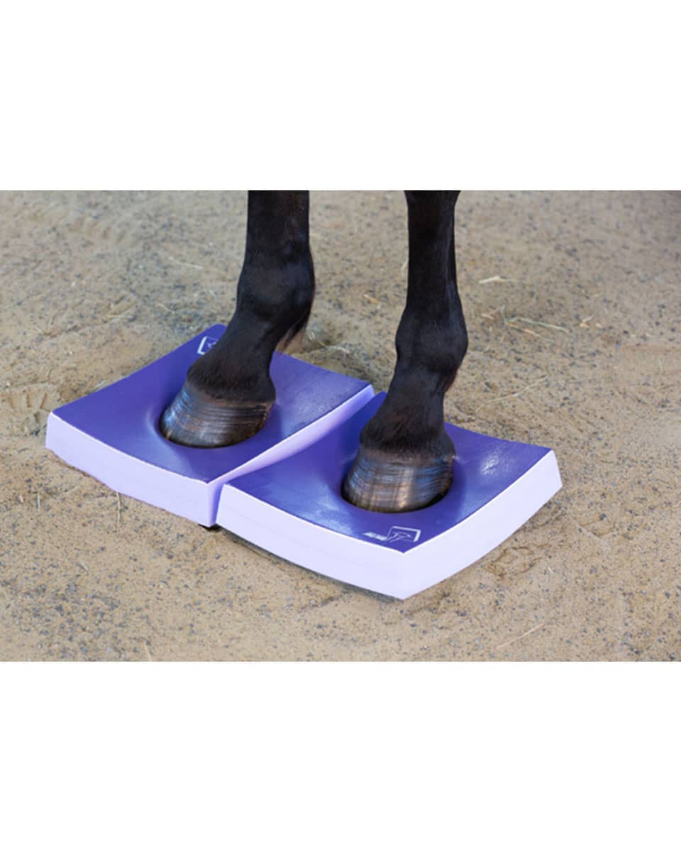 Sure Foot Equine Medium Balance Pads in use