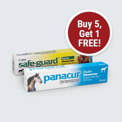 Merck Dewormers for Horses on Sale at FarmVet.