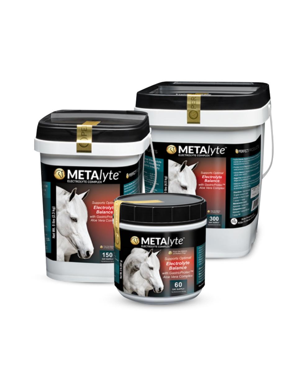 MetaLyte electrolyte for horses from Perfect Products