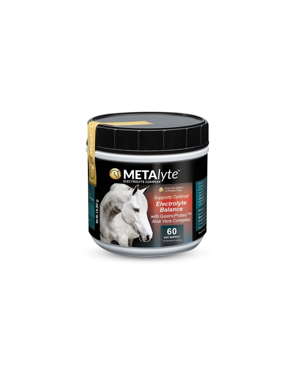 MetaLyte electrolyte for horses from Perfect Products