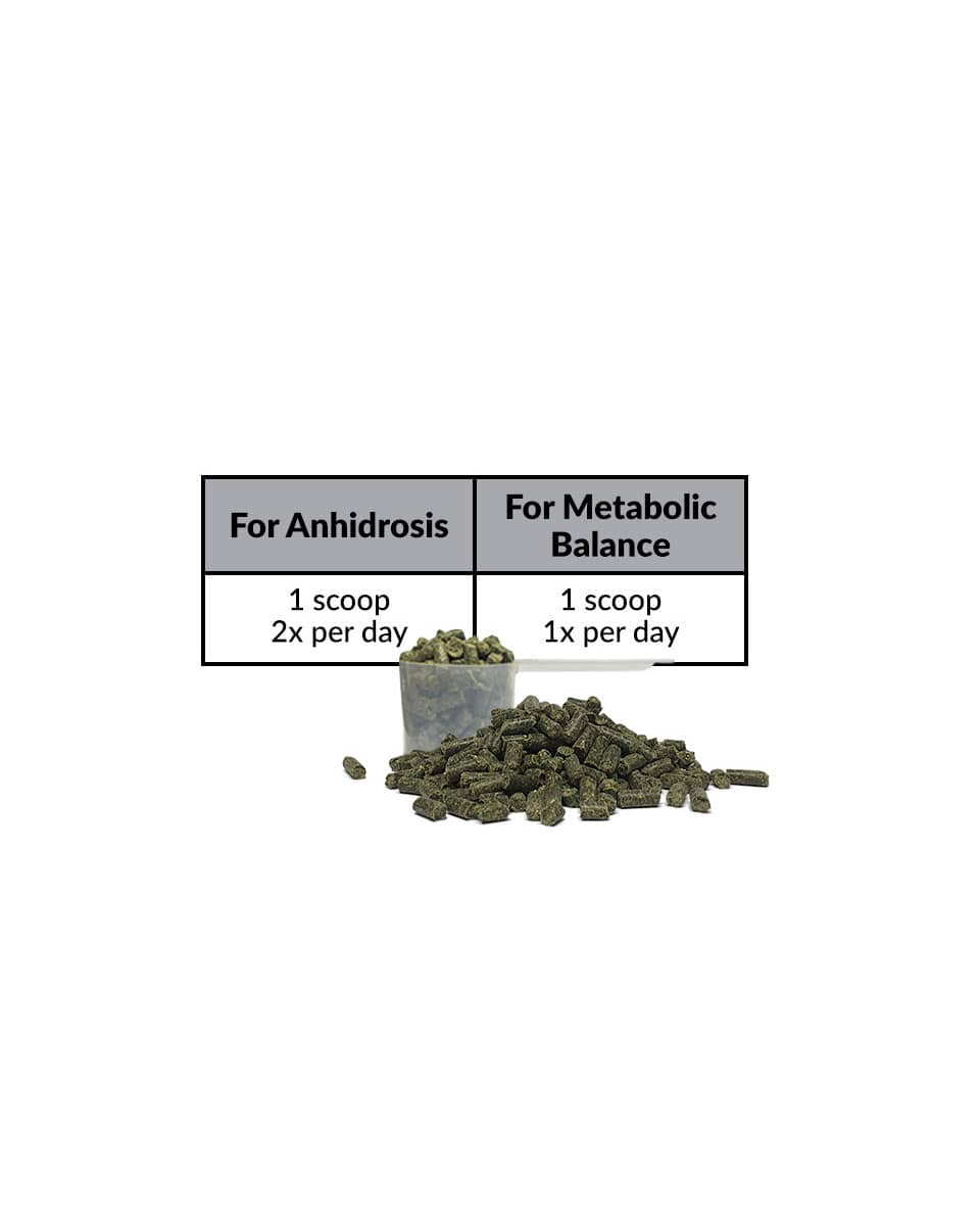 Perfect Products MetaSweat +E Pellets Feeding Instructions