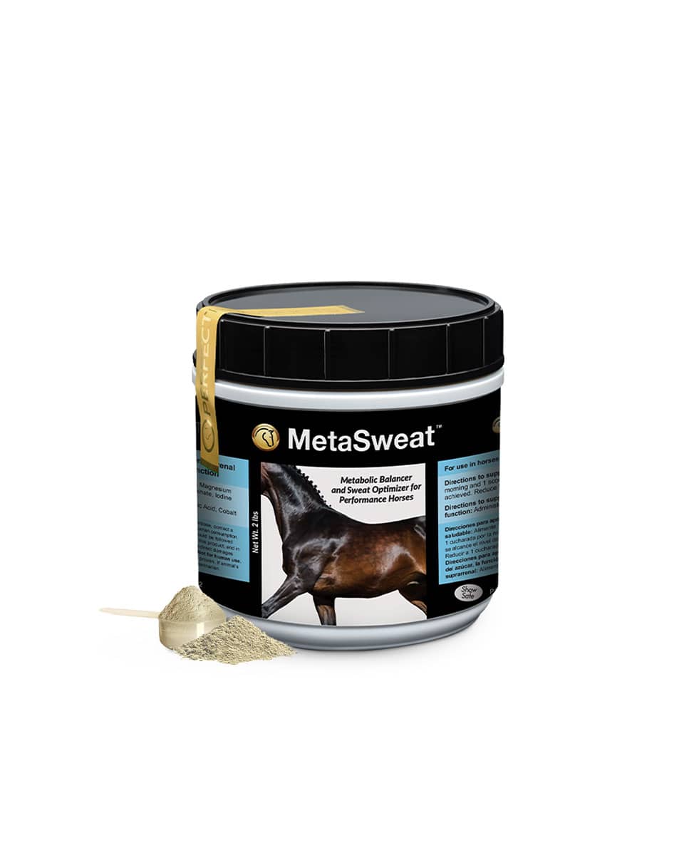 Perfect Products MetaSweat Anhidrosis supplement for horses