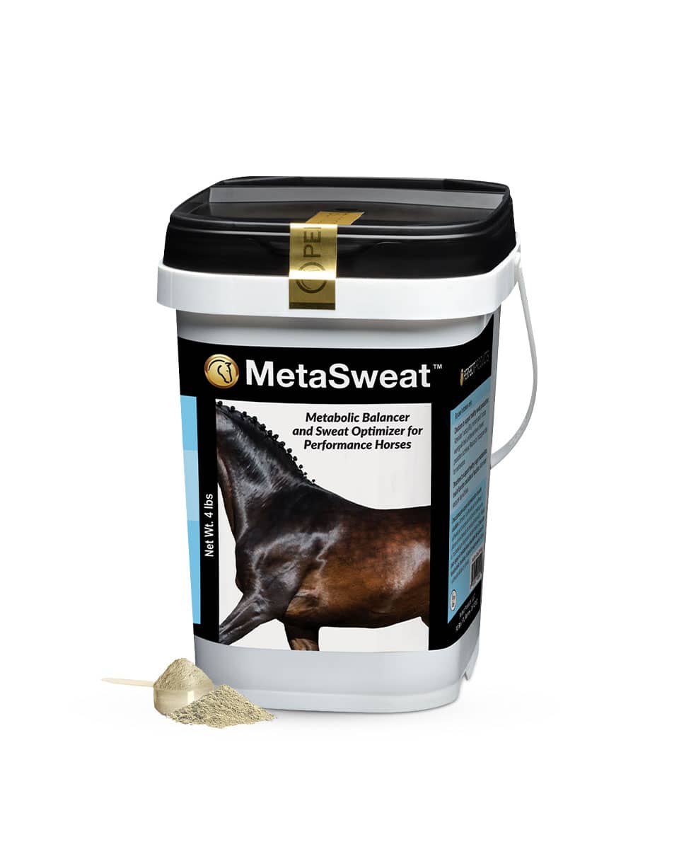 Perfect Products MetaSweat Anhidrosis supplement for horses