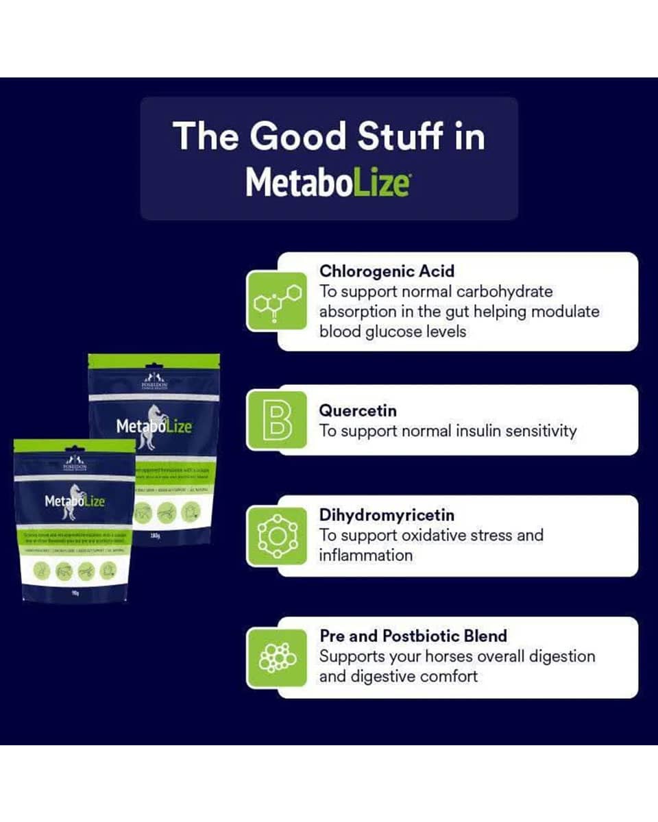 Poseidon Animal Health MetaboLize ingredients