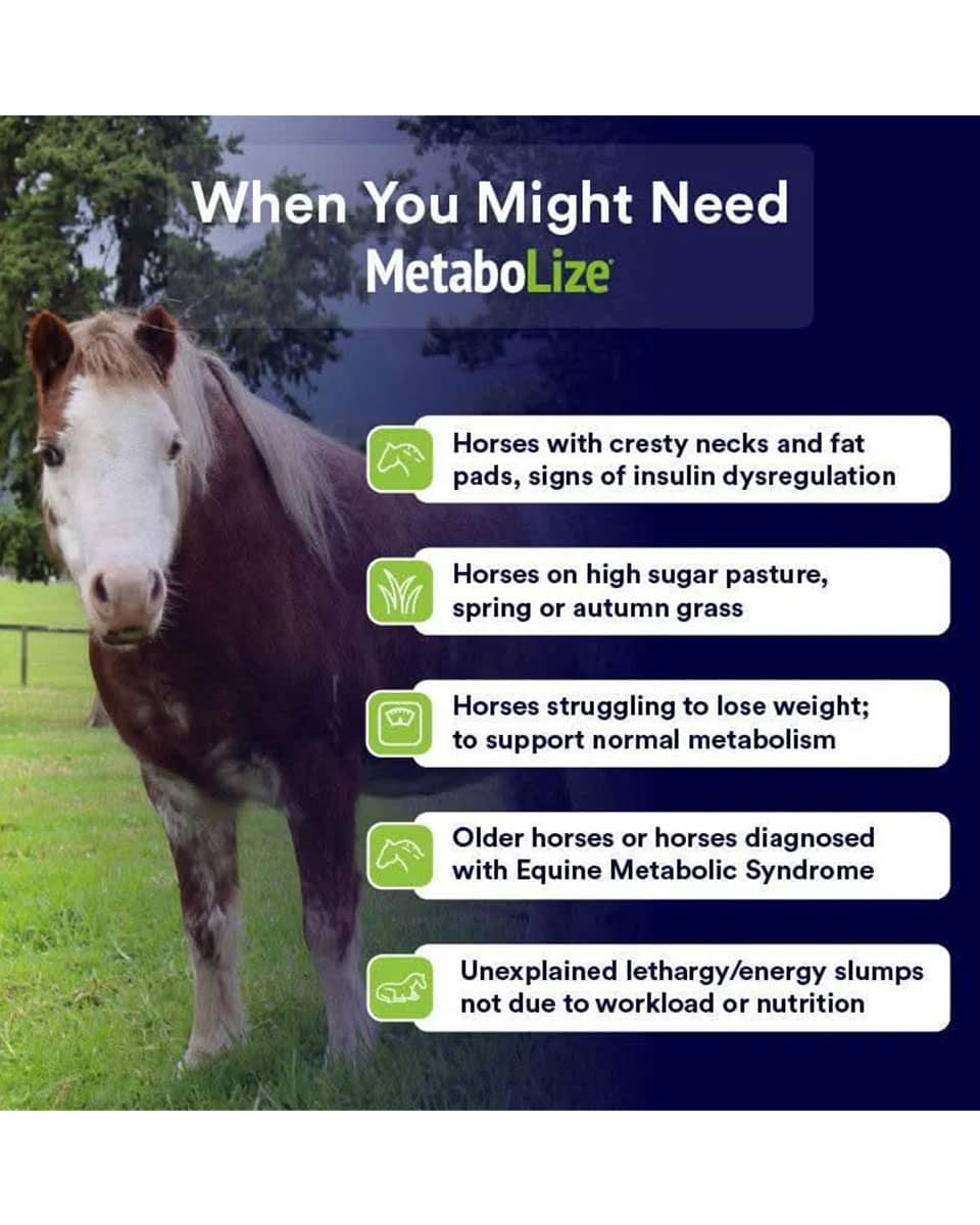 Poseidon Animal Health MetaboLize