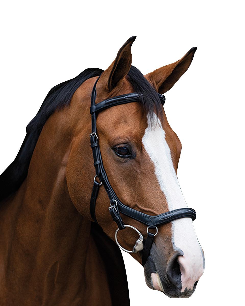 Micklem Deluxe Competition Bridle