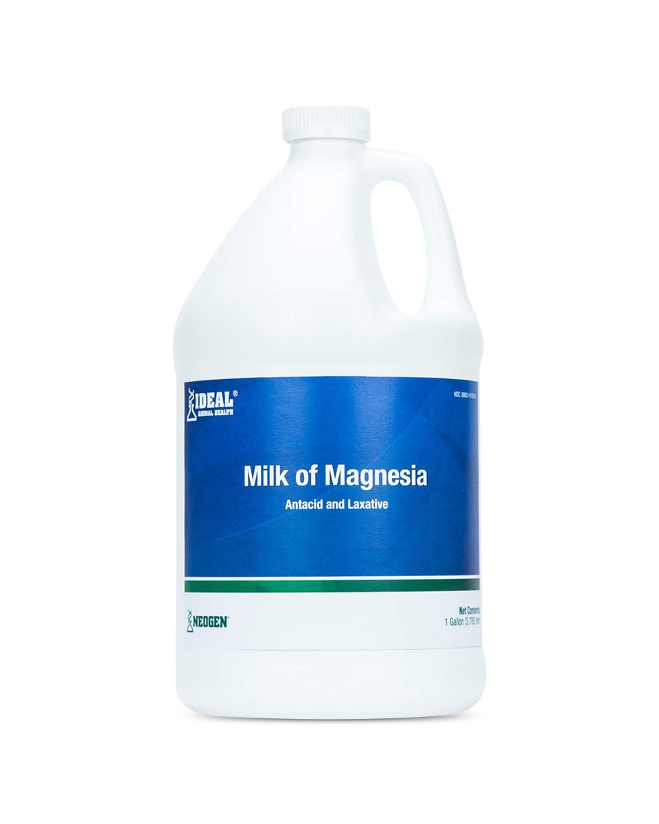 Can i give my on sale cat milk of magnesia