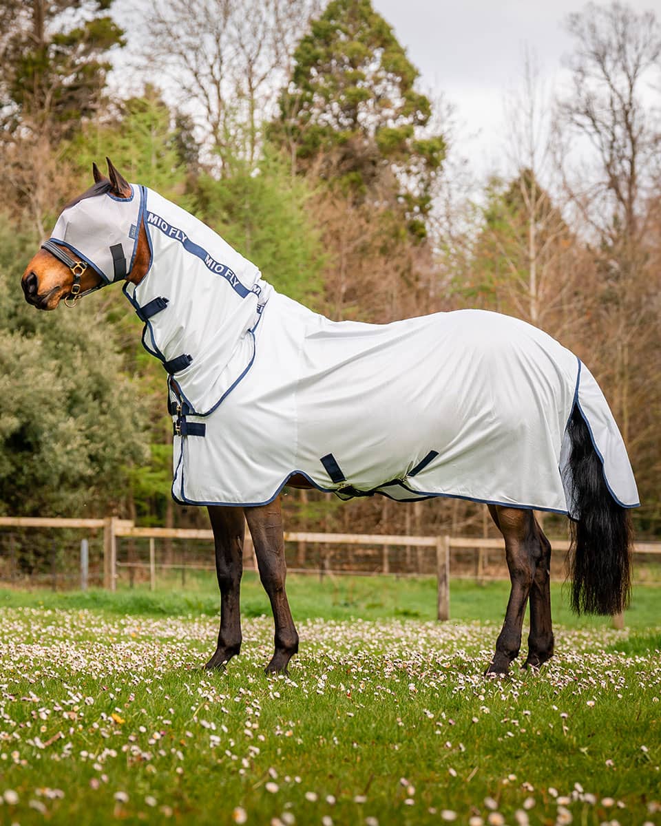 Mio Flysheet from Horseware Ireland