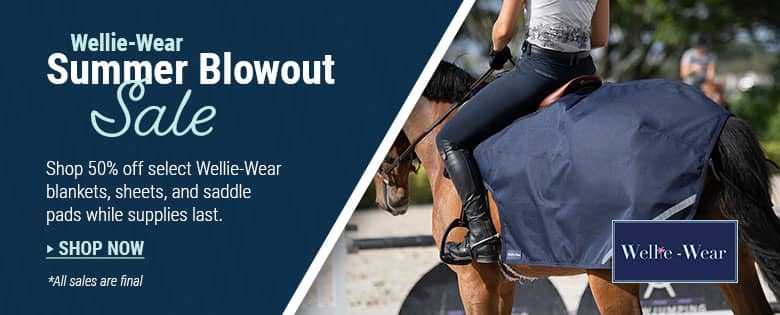 Wellie-Wear Summer Blowout Sale on horse sheets and turnouts at FarmVet.com.