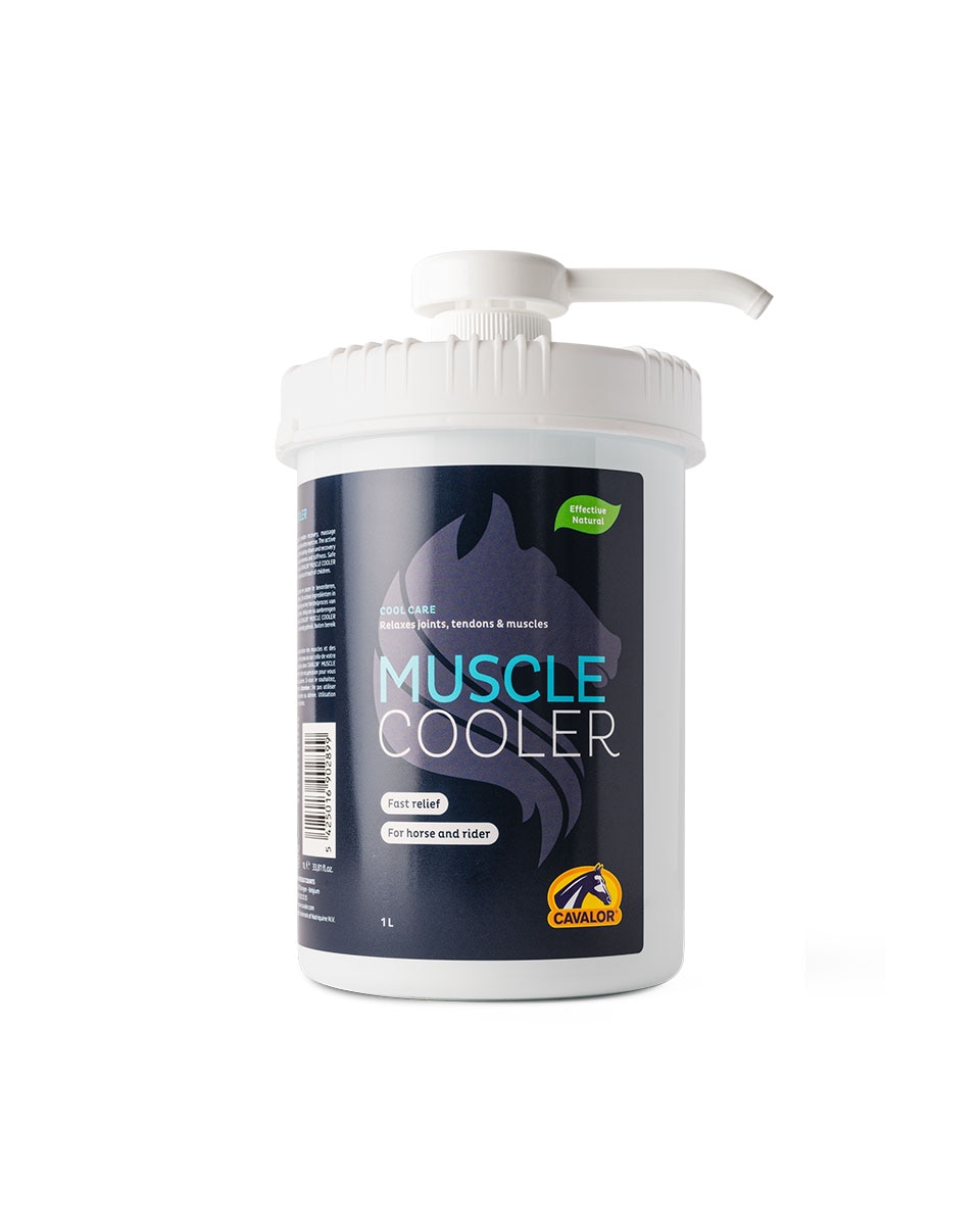 Muscle Cooler for Horses