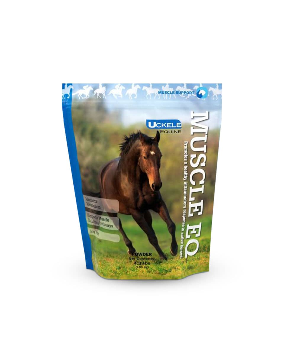 Uckele Muscle EQ Powder supplement for horses