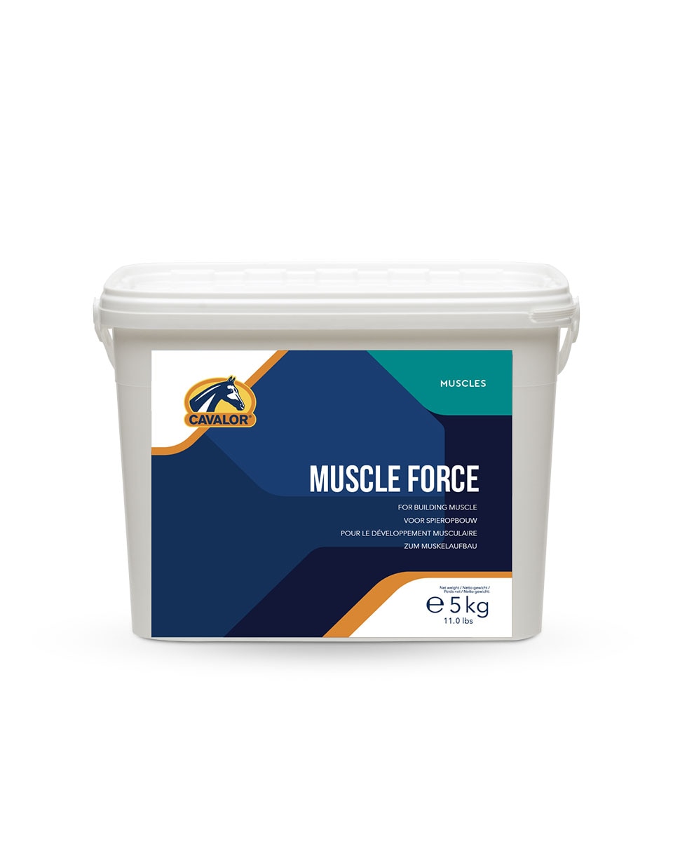 Muscle Force equine supplement by Cavalor