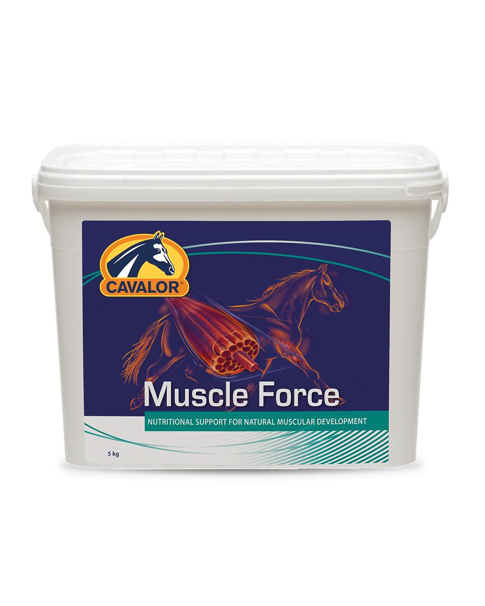 Muscle Force