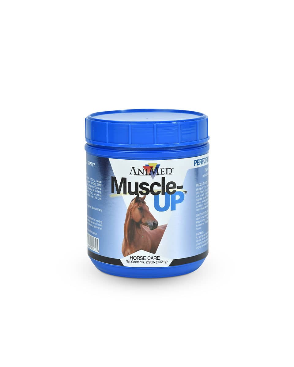 AniMed Muscle-Up Powder supplement for horses