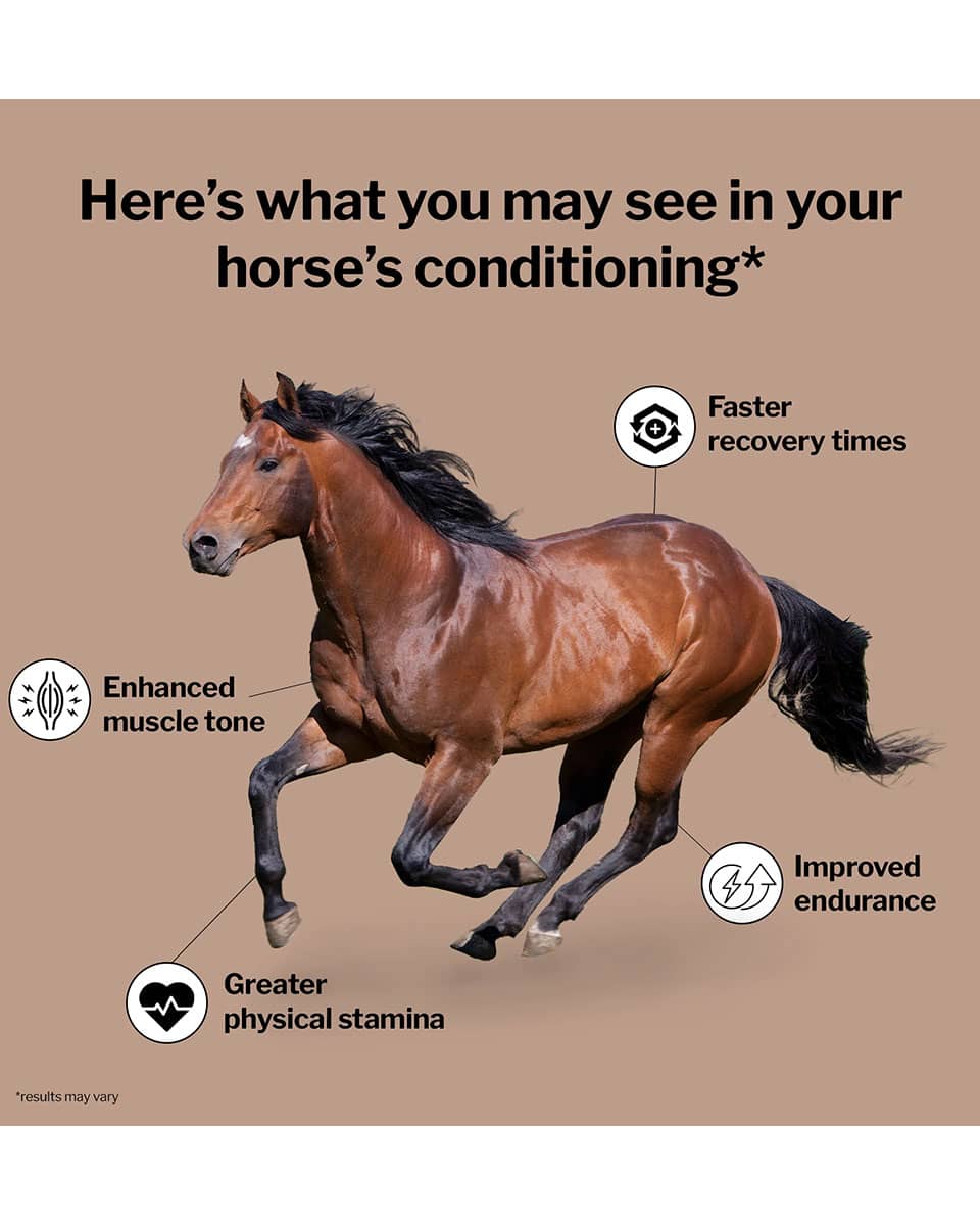 Formula 707 MuscleMx supplement for horses