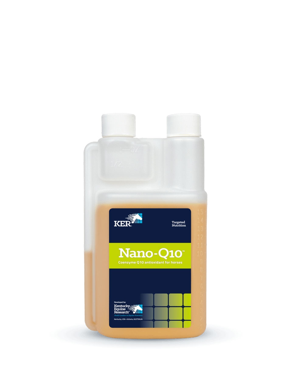 Nano Q 10 by KER