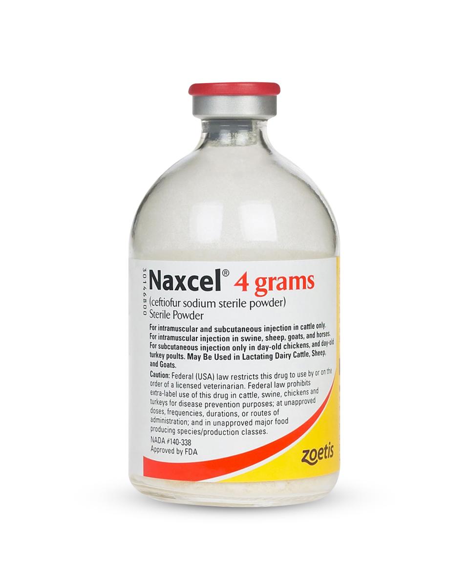 Naxcel antibiotic