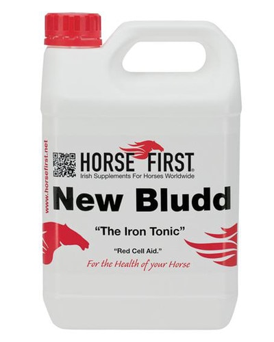 New Bludd from Horse First