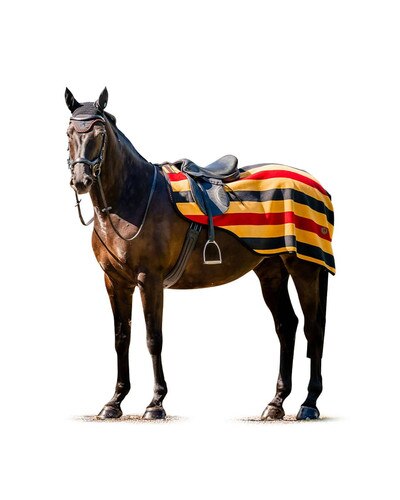 Horseware Ireland Newmarket Exercise Sheet witney gold