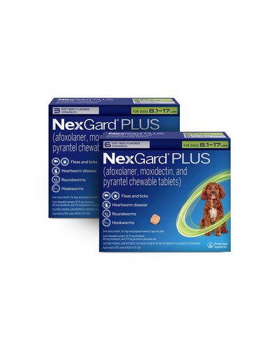 NexGard Plus Chewable Tablets for Dogs 8.1lb - 17lb