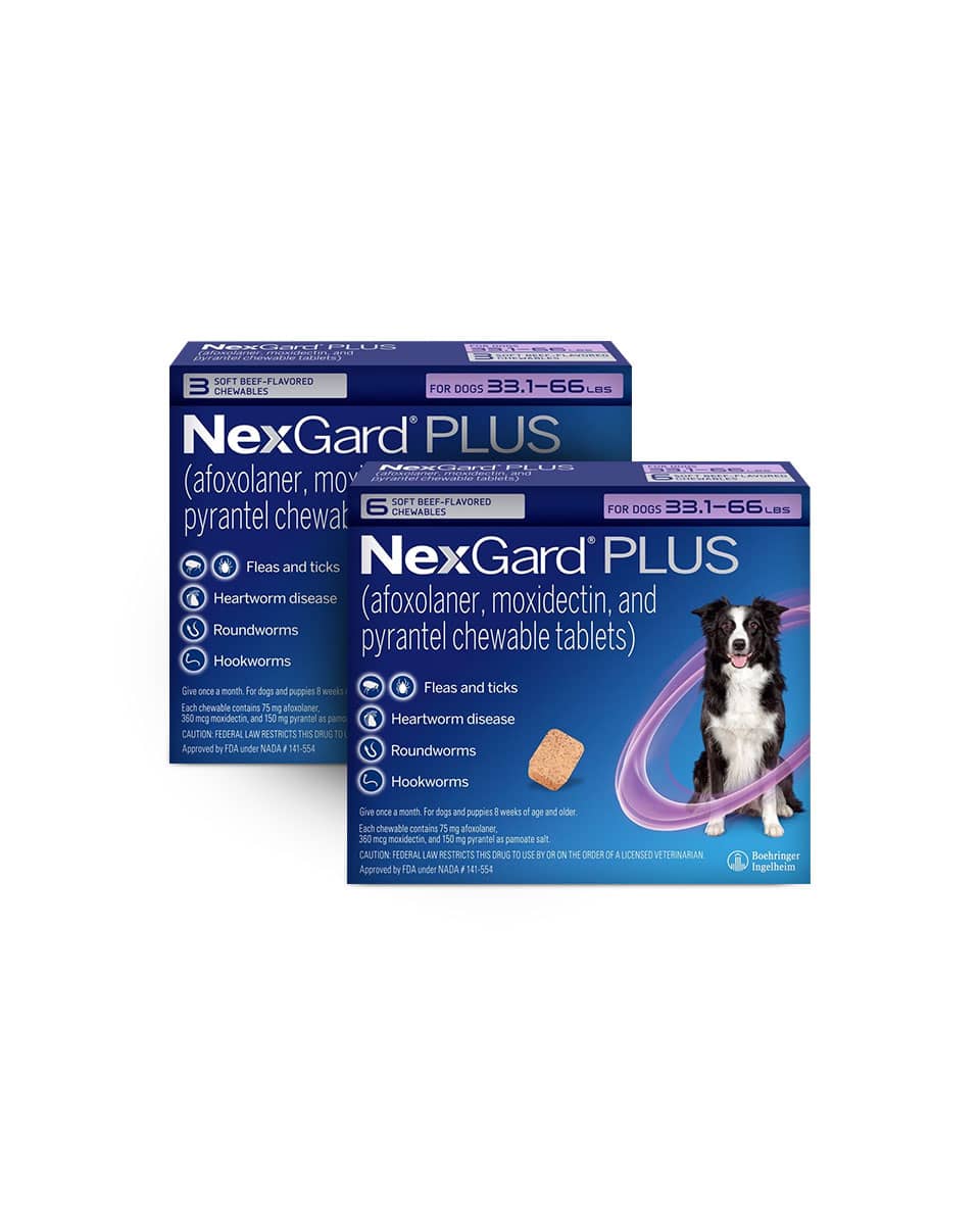 NexGard Plus Chewable Tablets