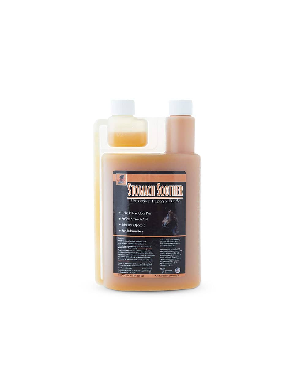 Formula 1 Noni Papaya Stomach Soother for horses